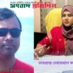 নবীনগরে সড়কের পাশে কাটা সরকারি গাছ