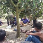 সাপাহারে আমবাগান থেকে অজ্ঞাত ব্যক্তির মরদেহ উদ্ধার