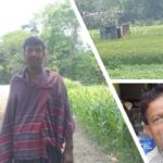 দোহার নবাবগঞ্জে তেল সংকটের কারণে পানিশূন্য ধানক্ষেতের চিত্র