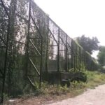 মহেশপুর সীমান্ত এলাকায় বিএসএফ কর্তৃক আটক বাংলাদেশি তিন যুবক ও সীমান্ত পরিস্থিতি