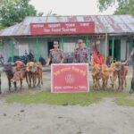 কুড়িগ্রাম সীমান্ত অভিযানে বিজিবির জব্দ করা চোরাচালান পণ্য ও মাদকদ্রব্য
