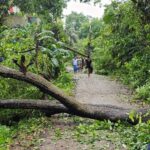 টেকনাফে কালবৈশাখী ঝড়ে ভেঙে পড়া গাছ ও ক্ষতিগ্রস্ত ঘরবাড়ির দৃশ্য