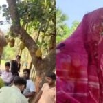 হালুয়াঘাটে প্রবাসীর স্ত্রীর ঘরে যুবক আটকের ঘটনা