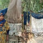 ঝড়-বৃষ্টিতে ভাঙা ছাউনিতে বসবাসরত কুড়িগ্রামের অসহায় বৃদ্ধা জেলেকা বেওয়া