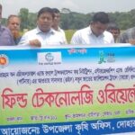 দোহারে মাঠ দিবসে ব্রি ধান ১০১ প্রদর্শনী প্লট পরিদর্শন করছেন কৃষক ও কৃষি কর্মকর্তারা