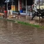 সামান্য বৃষ্টিতে কুড়িগ্রামের নাগেশ্বরী শহরের সড়কে জলাবদ্ধতার দৃশ্য