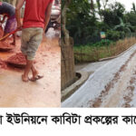 ফুলবাড়ীর বড়ভিটা ইউনিয়নে কাবিটা প্রকল্পের সিসি ঢালাই রাস্তার কাজে নিম্নমানের সামগ্রী ব্যবহারের দৃশ্য