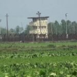পাটগ্রাম সীমান্তে রাতের টহলরত বিজিবি সদস্যরা চোরাকারবারিদের মোকাবেলায় সতর্ক অবস্থানে রয়েছে