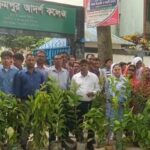 বিক্রমপুর আদর্শ কলেজে বৃক্ষরোপণ কর্মসূচিতে গাছের চারা রোপণ করছেন অতিথি, শিক্ষক ও শিক্ষার্থীরা